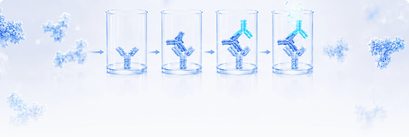 Payload-Specific ADC Quantification ELISA Kits